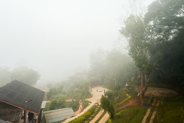 After early morning meditations in Northern Thailand (2025)