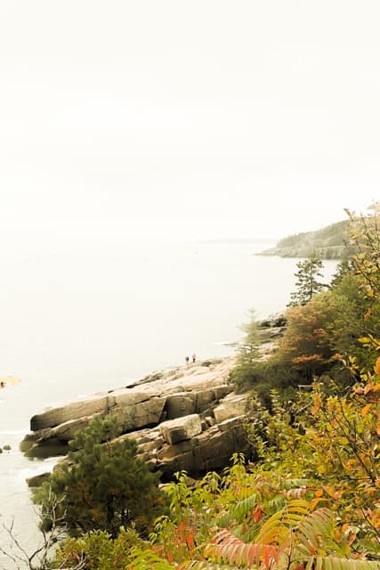 Early foliage in Acadia, at the corner of America (2024)